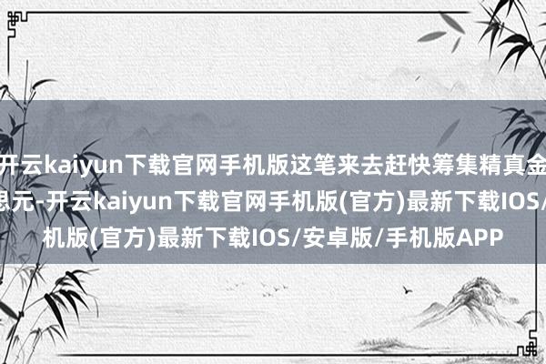 开云kaiyun下载官网手机版这笔来去赶快筹集精真金不怕火3.18亿好意思元-开云kaiyun下载官网手机版(官方)最新下载IOS/安卓版/手机版APP