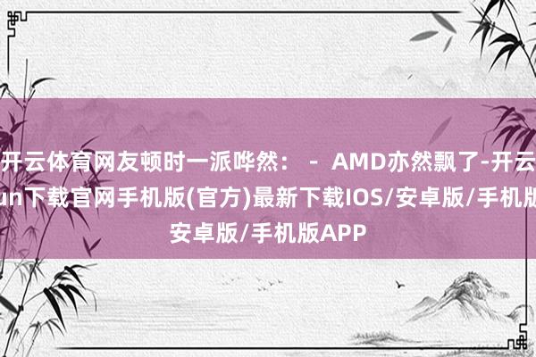 开云体育网友顿时一派哗然：－ AMD亦然飘了-开云kaiyun下载官网手机版(官方)最新下载IOS/安卓版/手机版APP