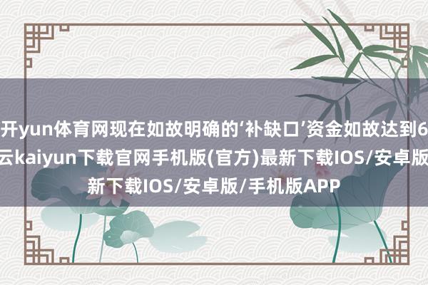 开yun体育网现在如故明确的‘补缺口’资金如故达到6000亿元-开云kaiyun下载官网手机版(官方)最新下载IOS/安卓版/手机版APP