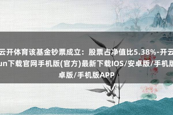 云开体育该基金钞票成立：股票占净值比5.38%-开云kaiyun下载官网手机版(官方)最新下载IOS/安卓版/手机版APP