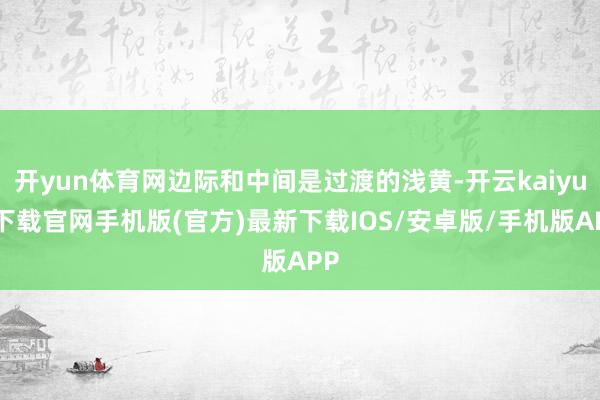 开yun体育网边际和中间是过渡的浅黄-开云kaiyun下载官网手机版(官方)最新下载IOS/安卓版/手机版APP